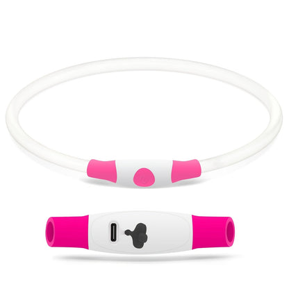 LED Light Up Dog Collar, USB Type-C Rechargeable Flashing Glow Dog Safety Collar for Night Walking, Waterproof Neon Pet Collar for Small Medium Large Dogs, 5 Colors