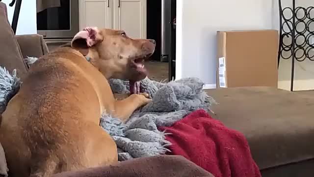 Jouet à mâcher indestructible pour chiens destructeurs, os en caoutchouc naturel durable pour le nettoyage des dents et le jeu interactif, os non toxique pour chiens de petites, moyennes et grandes races – Taille L 15 cm