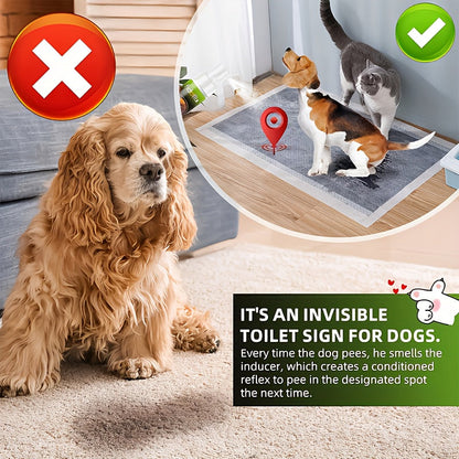 Pet Potty Training Spray for Dogs & Cats - Pheromone-Inspired Indoor Spot Guidance for Puppies & Kittens, Fast-Acting Puppy Pad Attractant, Helps Pets Recognize the Right Bathroom Spot, Clean & Non-Messy Formula