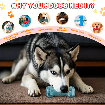 Squeaky Dog Chew Toy – Fun & Cute Interactive Squeaker Toy for Dogs, Reduces Boredom & Anxiety, Engages Chewing Instinct, Durable Dog Play Toy for Small Medium Large Dogs, Multiple Colors incl. Glow-in-Dark