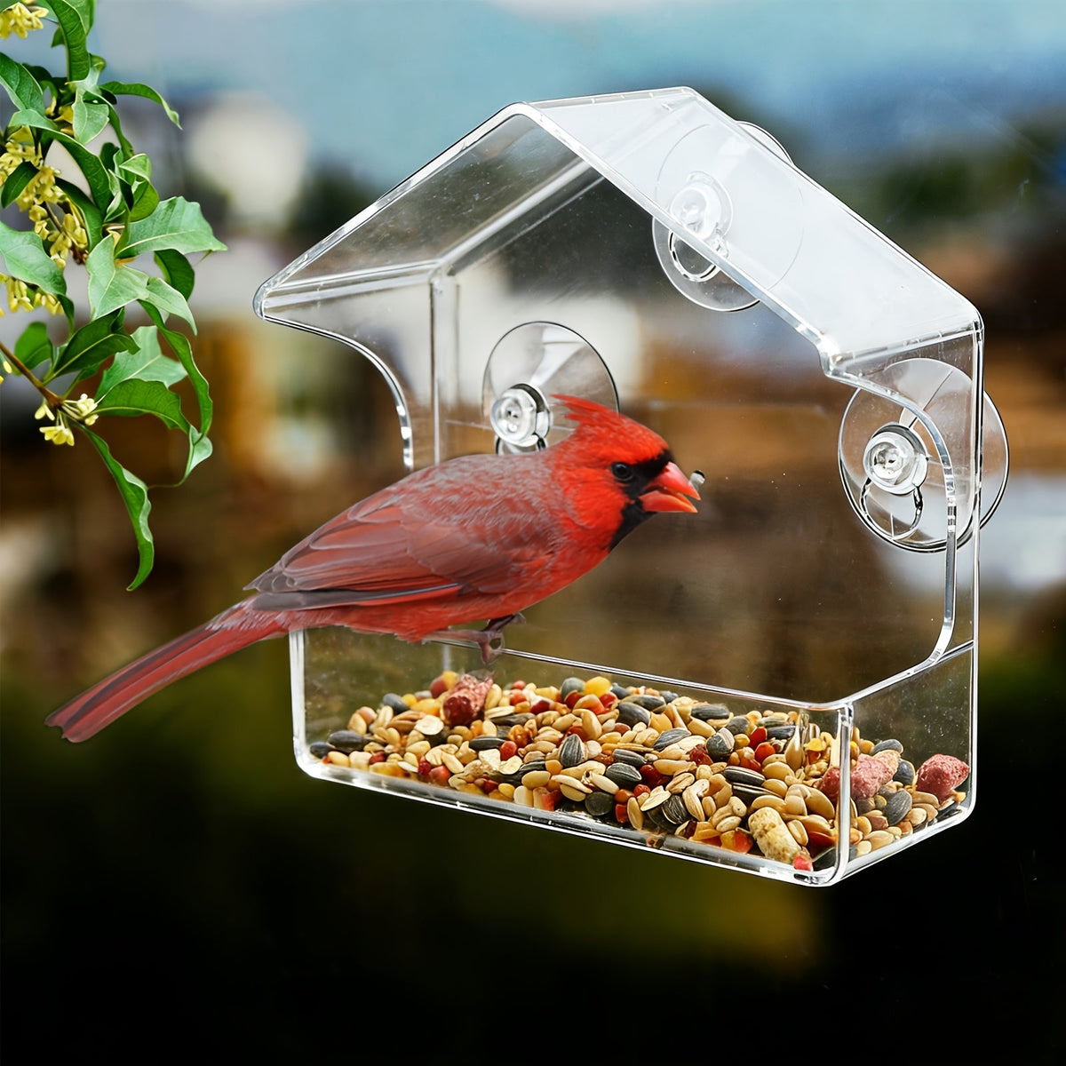 Mangeoire à oiseaux transparente en acrylique avec ventouses - Nichoir transparent pour jardin extérieur, facile à nettoyer, mangeoire pour observer les oiseaux de près depuis vos fenêtres