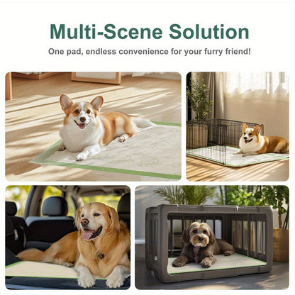 Alèses ultra-résistantes pour chien 60x60 cm – Protections d'apprentissage 6 épaisseurs, extra-absorbantes, anti-fuites et anti-odeurs, lot de 50/100/200/300/400, pour chiots, chiens, chats et lapins