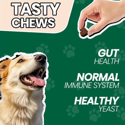 Friandises probiotiques à mâcher pour la santé digestive du chien, 90 unités, goût poulet - Favorise la santé intestinale, pour toutes les races et toutes les tailles, complément quotidien, pack de 1 ou 3 flacons