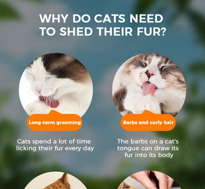 Comprimés lyophilisés d'herbe à chat pour le contrôle des boules de poils – Bâtonnets et granulés naturels à la menthe pour le soin des dents, friandises pour chat au poulet pour la santé dentaire et l'élimination des poils