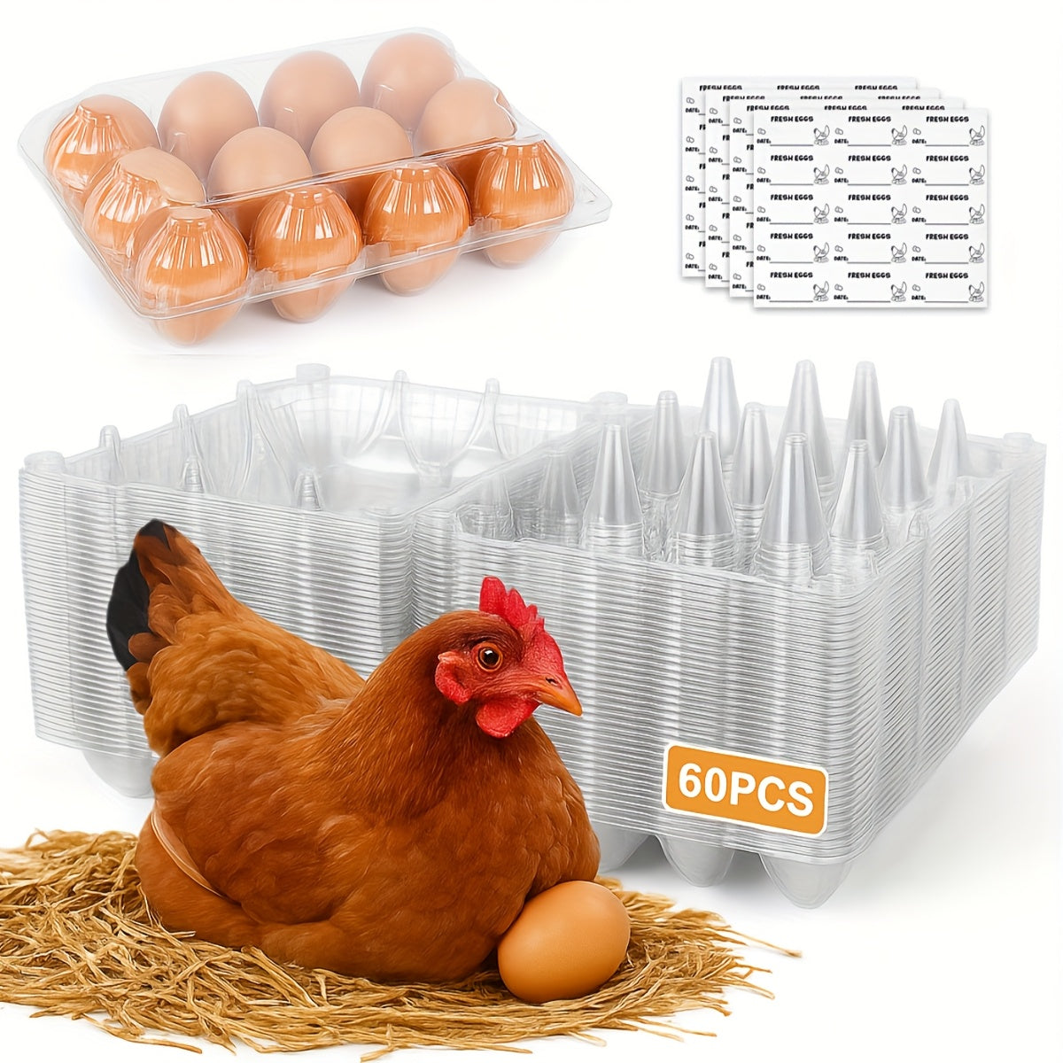 Lot de 60 boîtes à œufs transparentes en plastique, 12 alvéoles avec étiquettes – Boîtes à œufs en PET en gros pour la cuisine, l'élevage, la ferme avicole, le marché fermier et le stockage au réfrigérateur, capacité d'une douzaine d'œufs standard