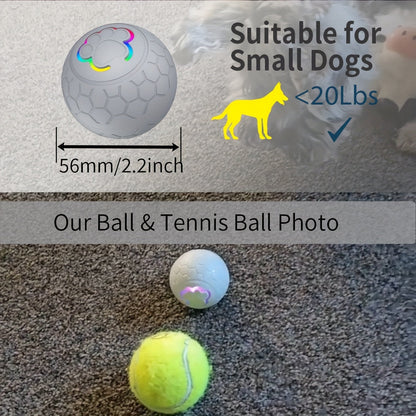 Balle intelligente rechargeable à rebond pour chien – Jouet interactif automatique à déplacement autonome avec mode intelligent pour chiens, jouet électrique rechargeable par USB pour jeux en intérieur et en extérieur