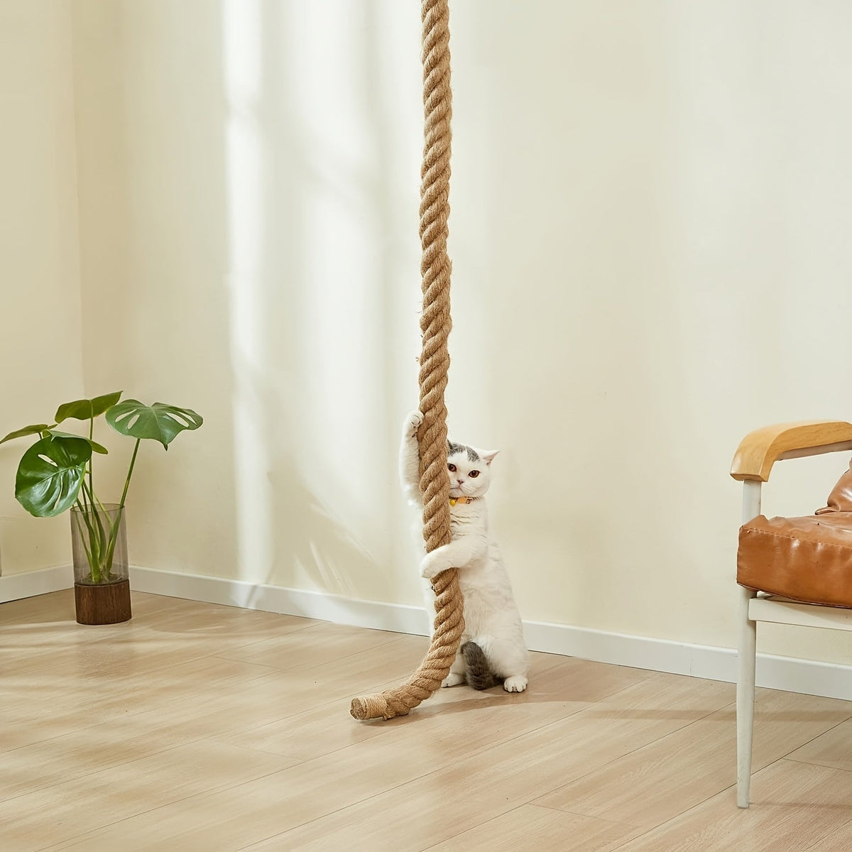 Arbre à chat mural avec corde d'escalade en jute de 152 cm – Mobilier mural pour chat peu encombrant avec griffoir, grande échelle et plateforme de repos, ensemble d'activités d'escalade pour chat d'intérieur pour l'exercice et le jeu