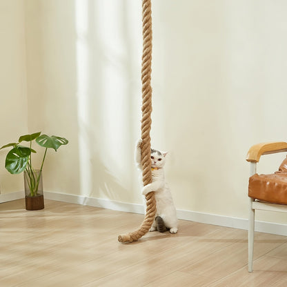 Arbre à chat mural avec corde d'escalade en jute de 152 cm – Mobilier mural pour chat peu encombrant avec griffoir, grande échelle et plateforme de repos, ensemble d'activités d'escalade pour chat d'intérieur pour l'exercice et le jeu