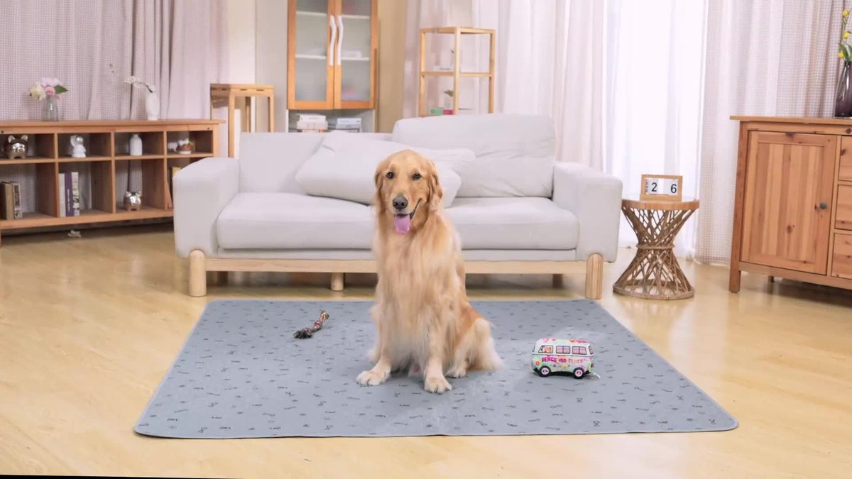 Alèses lavables et réutilisables pour chien avec motif os – Alèses d'entraînement pour chiot antidérapantes, imperméables et absorbantes, tapis de mise bas lavables en machine pour canapé, cage, parc et apprentissage de la propreté, plusieurs tailles