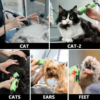 Tête de coupe en céramique amovible pour tondeuse pour animaux n° 10 - Acier à haute teneur en carbone, compatible avec les tondeuses Andis, Oster et A5 - Tête de coupe de rechange professionnelle pour toilettage canin (coupe 1/16 po / 1,5 mm)