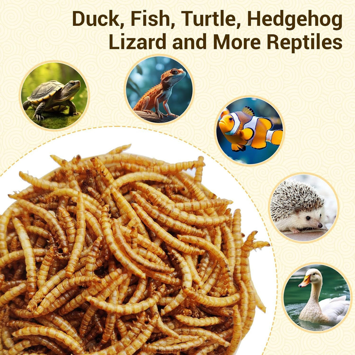 Vers de farine séchés pour poules, oiseaux sauvages et canards – Aliment naturel riche en protéines pour poules, tortues, poissons, lézards et hamsters, nourriture animale séchée sans OGM, plusieurs formats de 0,6 à 40 livres
