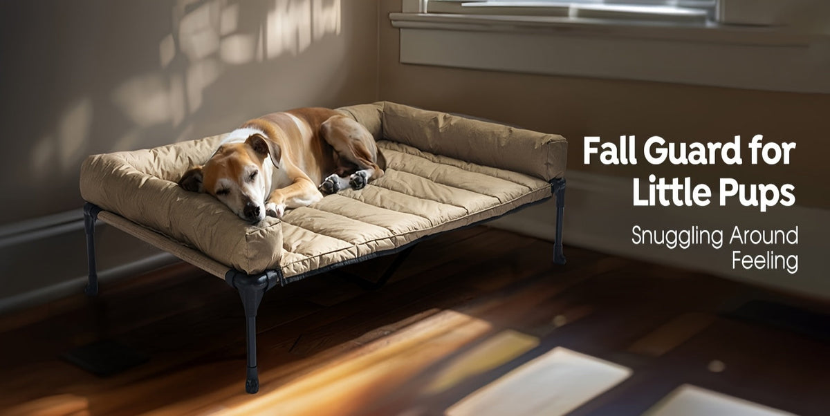 Lit surélevé rafraîchissant pour chien avec matelas amovible – Canapé pour chien surélevé avec rebords, filet respirant et pieds antidérapants pour une utilisation en intérieur et en extérieur