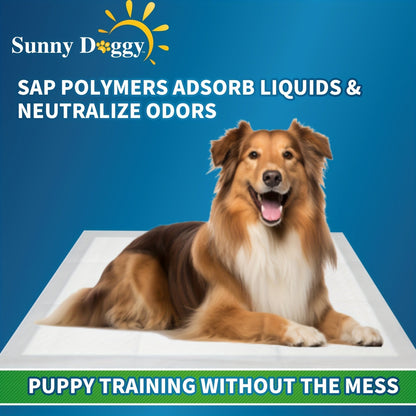 Alèses jetables pour chiens – Tapis d'apprentissage de la propreté améliorés, anti-odeurs et anti-fuites, ultra-absorbants pour le dressage à domicile, 120 unités 22"x22" / 50 unités 30"x36" / 40 unités 36"x36"