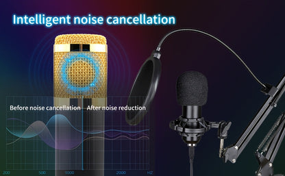 Kit de studio d'enregistrement pour podcast BM-800 avec carte son live, changeur de voix et écouteurs – Kit d'interface audio complet pour streaming, vlogging et diffusion en direct, plusieurs modèles disponibles