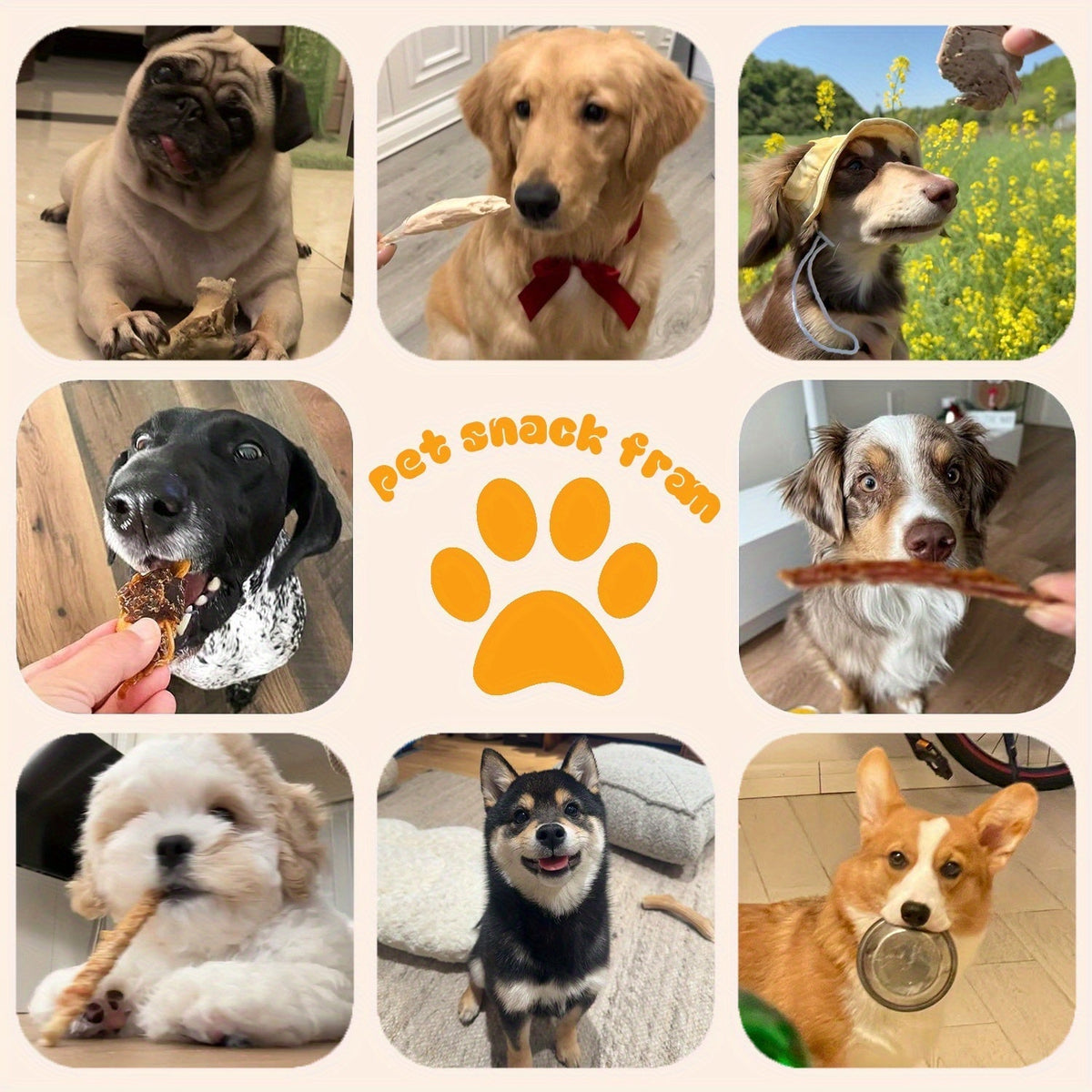 Friandises pour chiens au poulet séché - Vrai poulet séché pour chiens, riche en protéines et facile à digérer, collation saine et durable pour l'éducation des chiots et chiens adultes de toutes tailles.