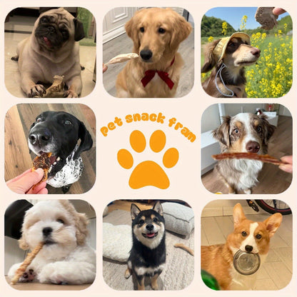 Friandises pour chiens au poulet séché - Vrai poulet séché pour chiens, riche en protéines et facile à digérer, collation saine et durable pour l'éducation des chiots et chiens adultes de toutes tailles.