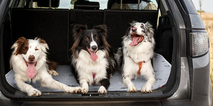 Alèses lavables et réutilisables pour chien avec motif os – Alèses d'entraînement pour chiot antidérapantes, imperméables et absorbantes, tapis de mise bas lavables en machine pour canapé, cage, parc et apprentissage de la propreté, plusieurs tailles