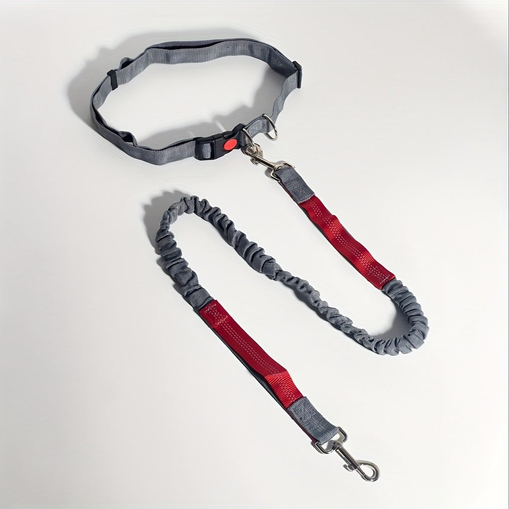 Laisse élastique pour chien, idéale pour la course – Laisse de course mains libres avec extension pour sports en plein air et promenades, laisse multifonctionnelle avec amortisseur, disponible en 5 couleurs pour les propriétaires actifs