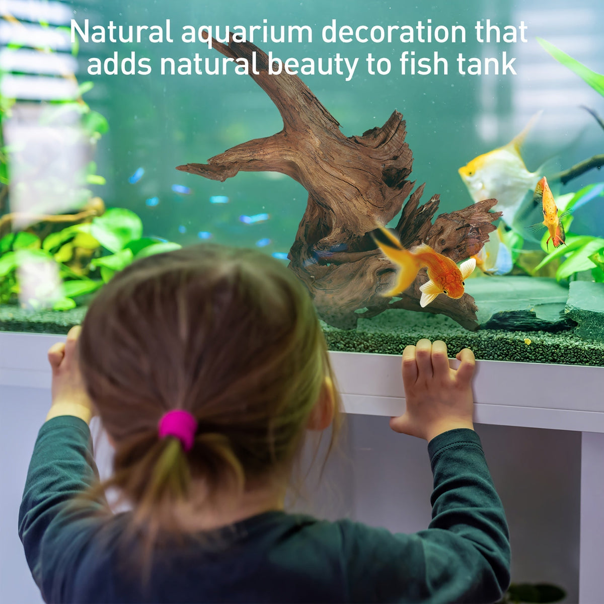 Bois flotté naturel à couler pour décoration d'aquarium – Lot de 3 grandes pièces en bois véritable pour aquarium d'eau douce, reptile et terrarium, bois flotté de teck violet sans danger pour les poissons