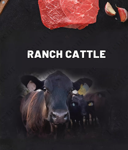 Bâtonnets de bœuf naturels de qualité supérieure pour chiens – Friandises protéinées sans céréales, type viande séchée et à mâcher pour chiots, chiens adultes de petite, moyenne et grande taille, récompenses d'éducation durables pour toutes les races