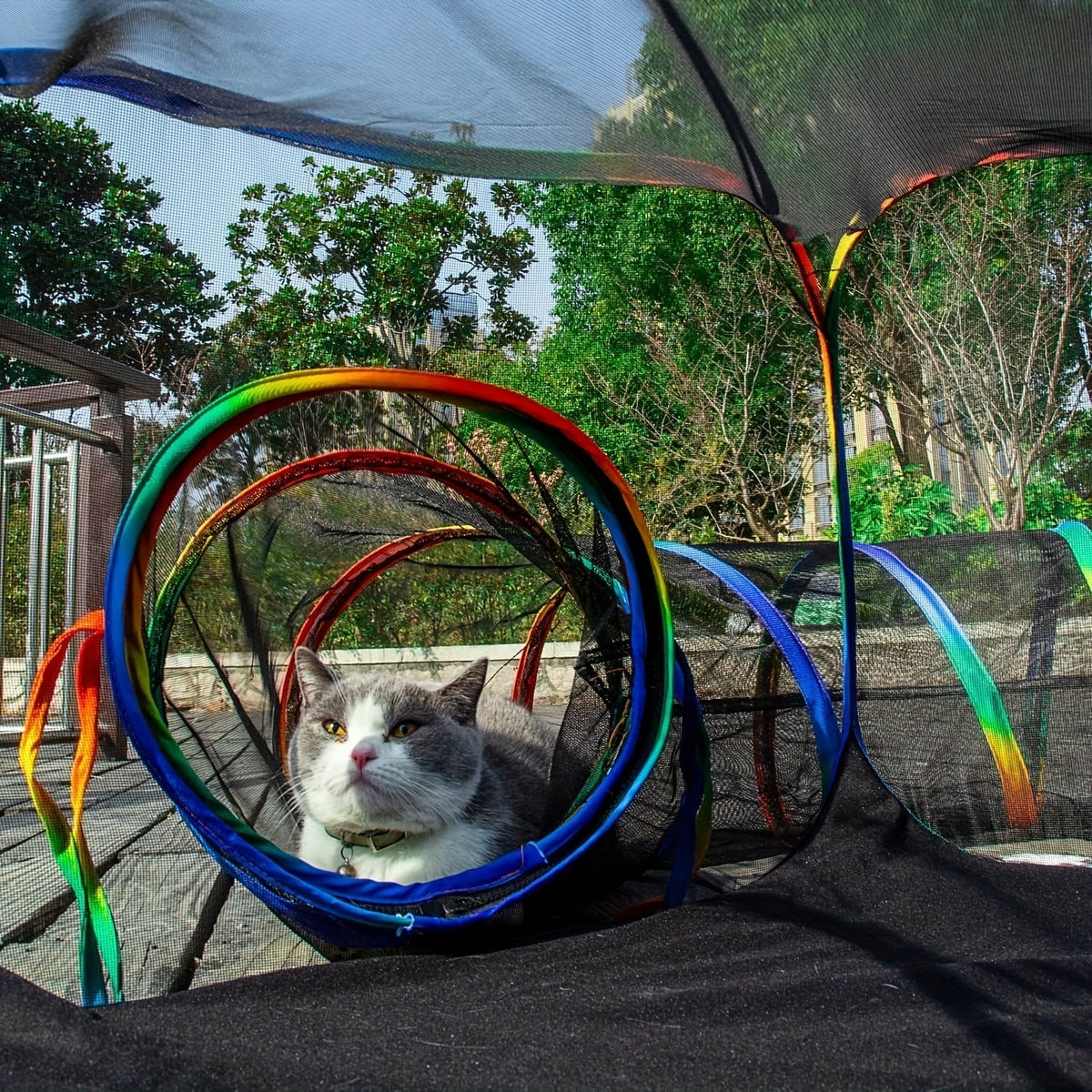 Parc pour chat Rainbow, enclos extérieur pour chat avec tunnel circulaire et tente pop-up portable, aire de jeu pliable pour chats, chatons et petits animaux, usage intérieur et extérieur