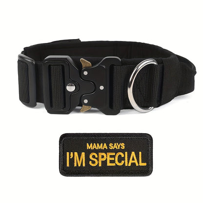 Ensemble collier tactique pour chien et laisse élastique robuste pour chiens de taille moyenne à grande - Collier en nylon avec boucle métallique haute résistance, laisse élastique extensible, équipement de dressage et de promenade en extérieur