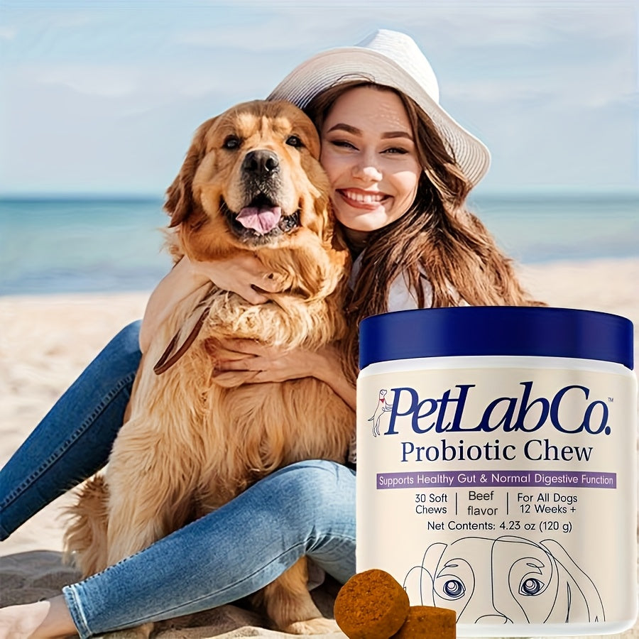 Friandises probiotiques et prébiotiques à mâcher pour chien, ingrédients naturels, soutient la santé intestinale, la digestion et la qualité de vie - 1 paquet ou 3 paquets, meilleur rapport qualité-prix
