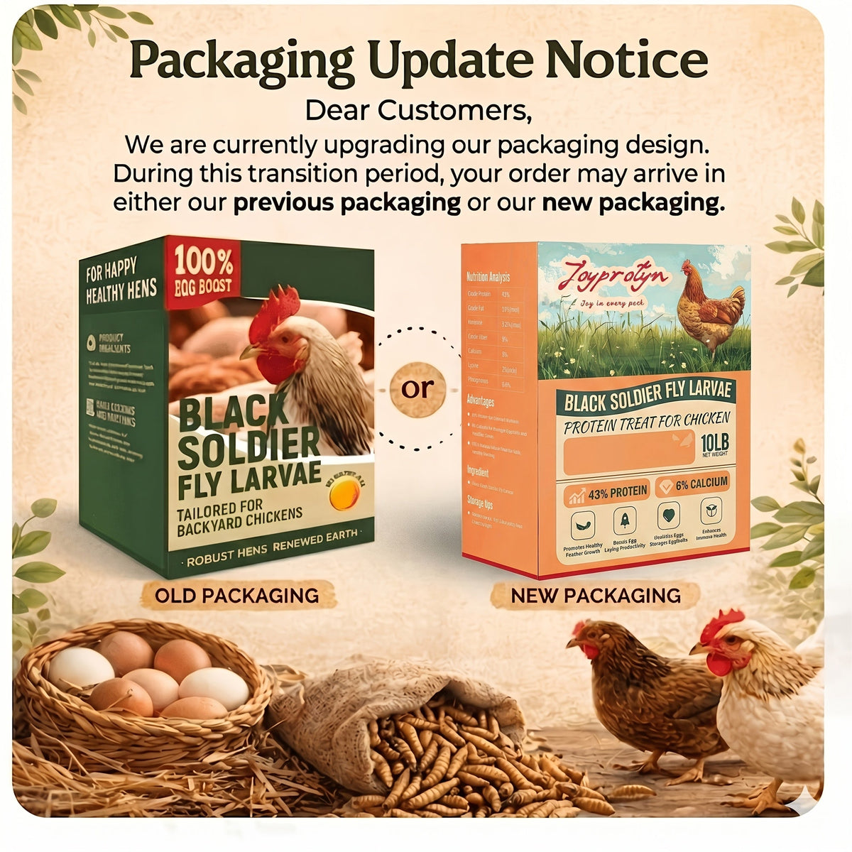Larves de mouches soldats noires séchées pour poules – 43 % de protéines et 85 fois plus de calcium que les vers de farine, friandises naturelles sans OGM pour poules pondeuses, canards, cailles, oiseaux et reptiles, 2 lb / 5 lb / 10 lb