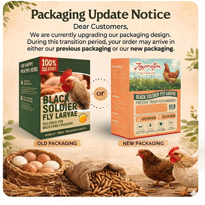 Larves de mouches soldats noires séchées pour poules – 43 % de protéines et 85 fois plus de calcium que les vers de farine, friandises naturelles sans OGM pour poules pondeuses, canards, cailles, oiseaux et reptiles, 2 lb / 5 lb / 10 lb