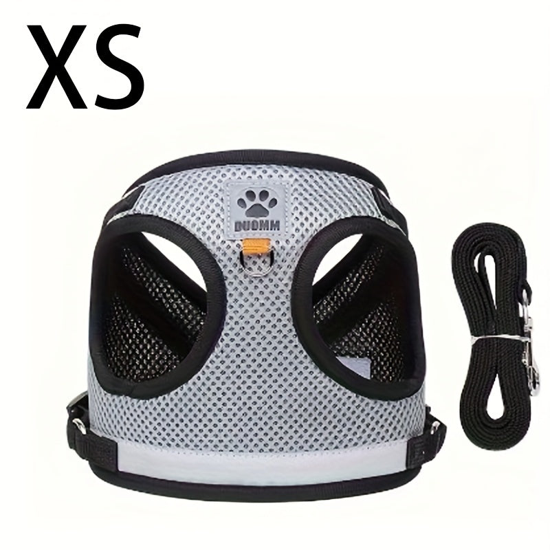 Harnais gilet avec laisse pour chat et chien, anti-fugue, en maille respirante, réglable et anti-traction pour promenades et dressage en extérieur