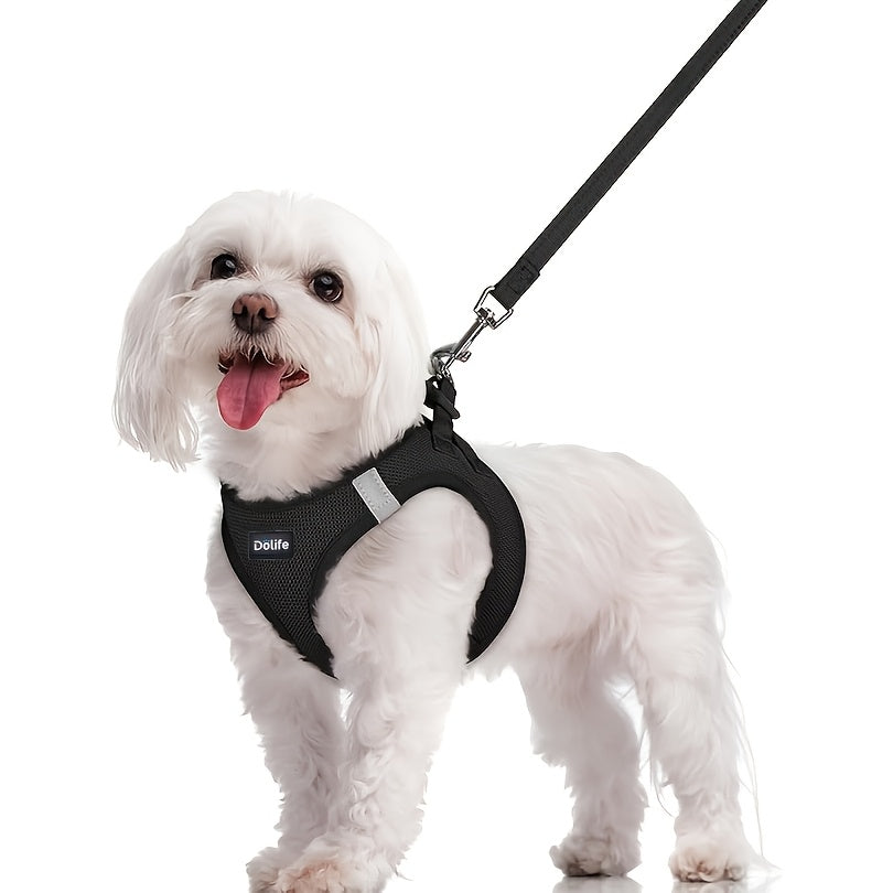 Harnais et laisse pour petits chiens et chiots - Harnais gilet respirant, réfléchissant, doux et léger anti-traction avec laisse assortie XS S M L XL