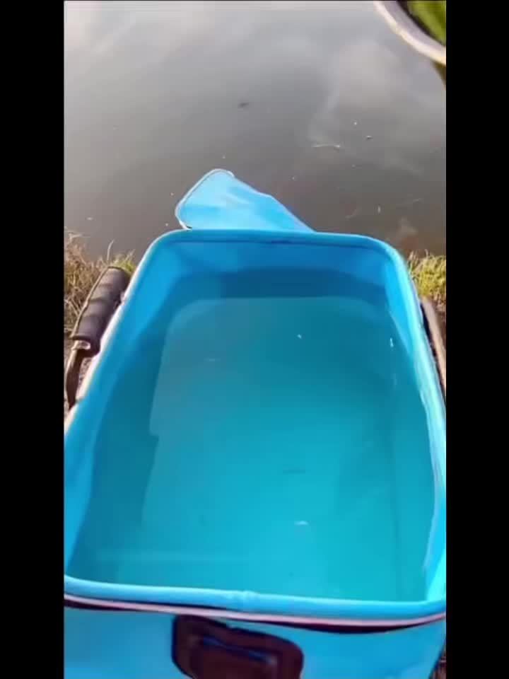 Seau de pêche pliable de 25 L – Conteneur à appâts vivants en EVA, sac de conservation de poissons multifonctionnel et portable pour la pêche à la carpe et en eau douce, cadeau pour homme (bleu/orange)