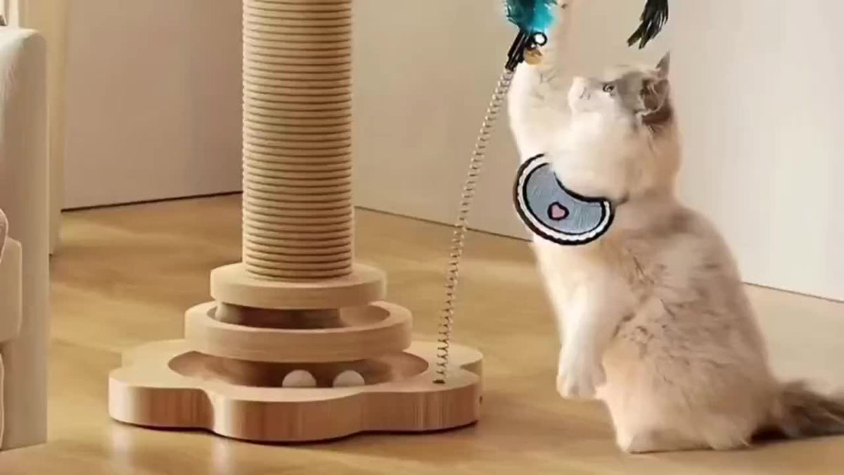 Arbre à chat en bois 5-en-1 avec griffoir pour chats d'intérieur, poteau en sisal, circuit à balles sur 2 niveaux, jouet interactif à plumes et balles suspendues, mobilier pour chatons et chats adultes