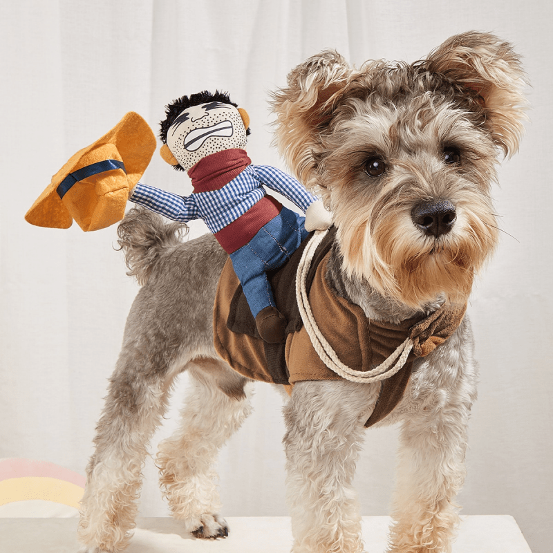 Costume de cowboy cavalier pour chien pour Halloween – Déguisement amusant et original pour golden retriever, caniche et chiens de taille moyenne à grande, tenue de fête d'Halloween pour chien