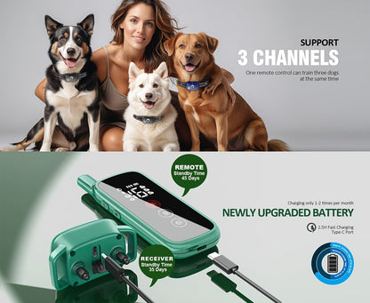 Collier de dressage pour chien avec télécommande, 3 modes de dressage : bip, vibration et stimulation électrostatique, collier électronique pour chiens de taille moyenne et grande, fonction de réception à distance avec icône intelligente