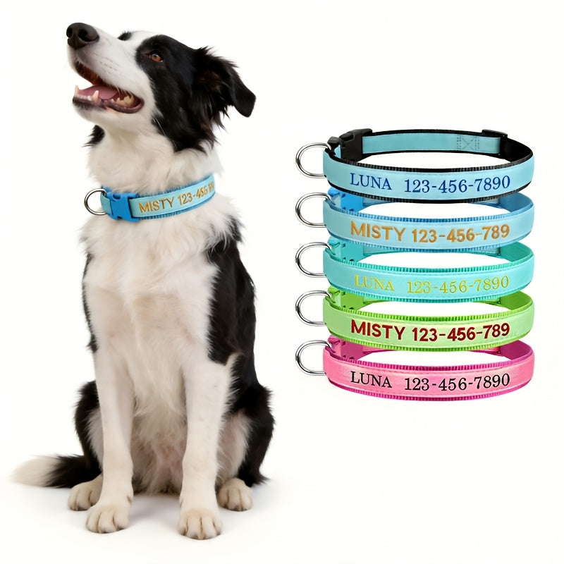 Collier pour chien phosphorescent personnalisé – Nom et numéro de téléphone brodés, collier de sécurité lumineux pour chiens de petite, moyenne et grande taille, conception anti-perte disponible en XS/S/M/L, 5 couleurs au choix