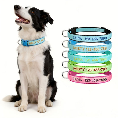 Collier pour chien phosphorescent personnalisé – Nom et numéro de téléphone brodés, collier de sécurité lumineux pour chiens de petite, moyenne et grande taille, conception anti-perte disponible en XS/S/M/L, 5 couleurs au choix