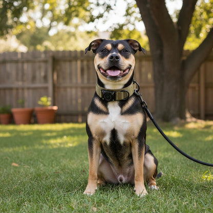 Collier tactique pour chien avec support AirTag et poignée – Nylon PC robuste, réglable M/L/XL pour chiens moyens et grands, collier de dressage de style militaire avec poignée de contrôle