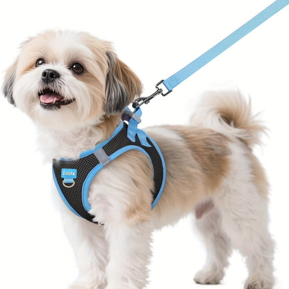 Ensemble harnais et laisse pour petits chiens - Harnais gilet doux et respirant pour chiot avec bandes réfléchissantes de nuit, harnais pour animaux facile à mettre et lavable en machine pour petites races