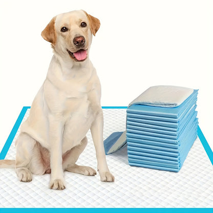 Alèses super absorbantes pour chien 60x60 cm pour le dressage des chiots et l'usage en intérieur – Alèses d'apprentissage anti-fuites et anti-odeurs, paquets économiques de 50 / 100 / 200 / 400 unités