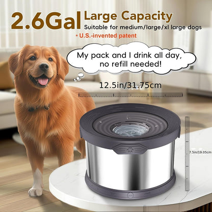Grande gamelle d'eau pour chien 10 L en acier inoxydable anti-éclaboussures – Bol d'abreuvement lent 2,6 gallons avec disque flottant, base antidérapante et filtre amovible pour grands chiens et foyers multi-animaux, intérieur et extérieur