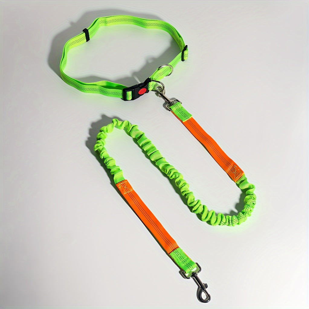 Laisse élastique pour chien, idéale pour la course – Laisse de course mains libres avec extension pour sports en plein air et promenades, laisse multifonctionnelle avec amortisseur, disponible en 5 couleurs pour les propriétaires actifs