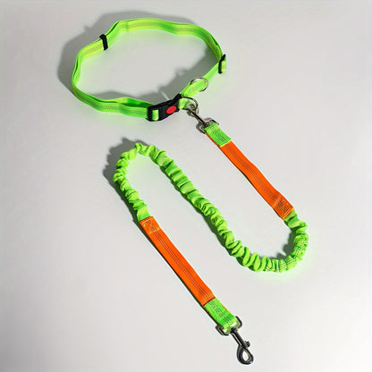 Laisse élastique pour chien, idéale pour la course – Laisse de course mains libres avec extension pour sports en plein air et promenades, laisse multifonctionnelle avec amortisseur, disponible en 5 couleurs pour les propriétaires actifs
