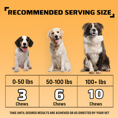 Complément nutritionnel pour chiens en bouchées tendres, 90 unités, aux probiotiques et huile de saumon, goût poulet - Soutient la santé du pelage, la santé intestinale et l'immunité pour les chiens de tous âges, 225 g