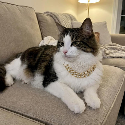 2-Pack Cuban Link Cat Chain Collar Set, Gold & Silver Adjustable Metal Pet Necklace for Cats & Small Dogs, Lightweight Bling Cat Collar Chain, Fashion Pet Jewelry Accessory for Cats