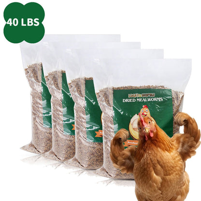 Vers de farine séchés pour poules, oiseaux sauvages et canards – Aliment naturel riche en protéines pour poules, tortues, poissons, lézards et hamsters, nourriture animale séchée sans OGM, plusieurs formats de 0,6 à 40 livres
