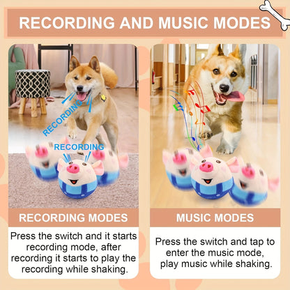 Jouet rebondissant pour chien rechargeable par USB – Balle électronique avec capteur de mouvement, bruit de cochon et enregistrement vocal, jouet interactif lavable pour petits chiens et chiots