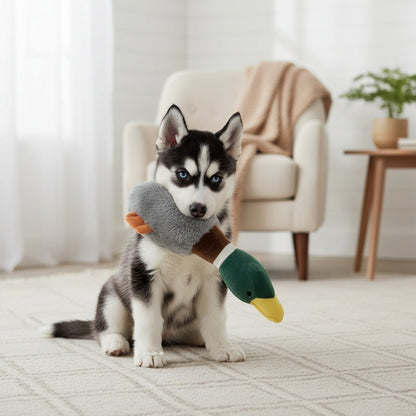 Jouet pour chien en peluche pouet-pouet Oie en velours – Jouet sonore pour animal de compagnie en velours PV doux, design d'oie mignon, jouet interactif à mâcher et à câliner, peluche durable pour chiens de petite à moyenne taille
