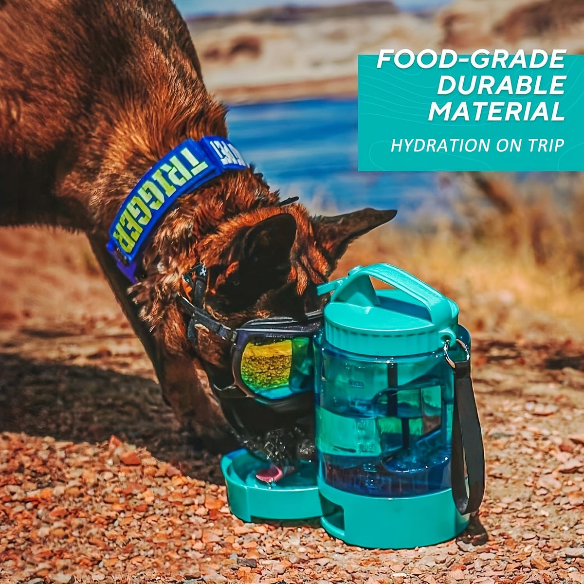 Gourde de voyage pour chien 2,2 L avec gamelle rétractable - Distributeur 2-en-1 portable grande capacité, anti-fuite, pour randonnée, camping, plage et trajets en voiture, dragonne et mousqueton inclus, bleu lagon