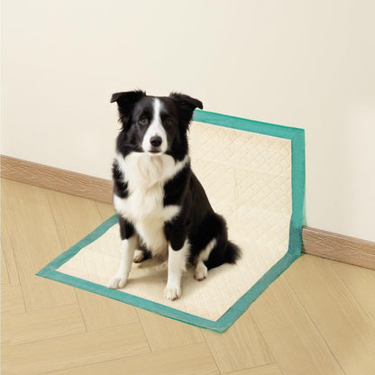 Alèses ultra-résistantes pour chien 60x60 cm – Protections d'apprentissage 6 épaisseurs, extra-absorbantes, anti-fuites et anti-odeurs, lot de 50/100/200/300/400, pour chiots, chiens, chats et lapins